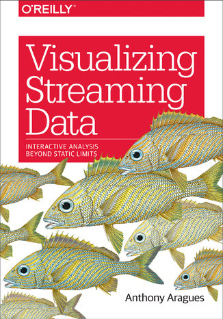 Visualizing Streaming Data. Interactive Analysis Beyond Static Limits Anthony Aragues - okadka ebooka