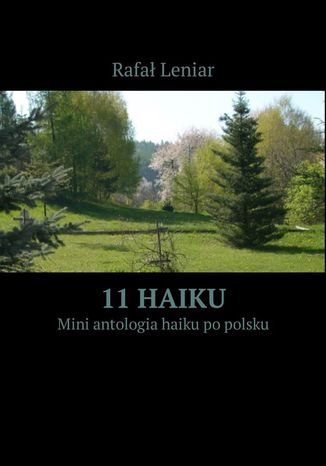 11 Haiku Rafał Leniar - okładka ebooka