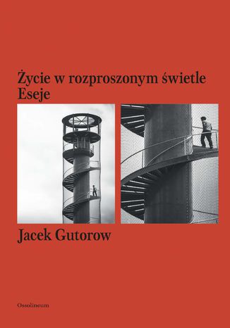 Życie w rozproszonym świetle. Eseje