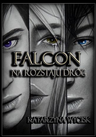 Falcon II Katarzyna Wycisk - okadka ebooka