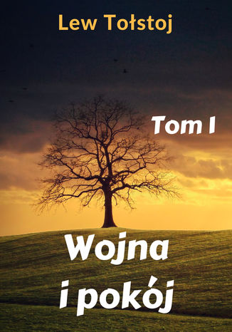 Wojna i pokój. Tom 1