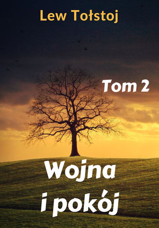 Wojna i pokój. Tom 2
