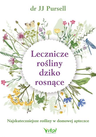 Lecznicze rośliny dziko rosnące. Najskuteczniejsze rośliny w domowej apteczce