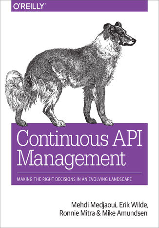 Okładka książki/ebooka Continuous API Management. Making the Right Decisions in an Evolving Landscape