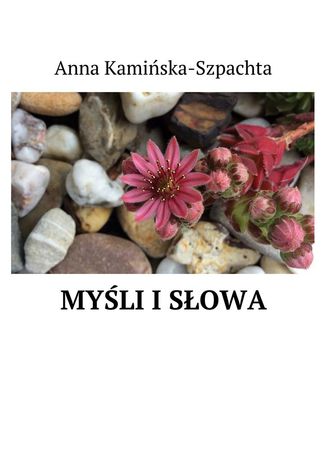 Myli isowa Anna Kamiska-Szpachta - okadka ebooka