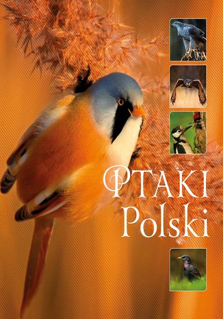 Ptaki Polski_160 Karolina Matoga - okadka ebooka