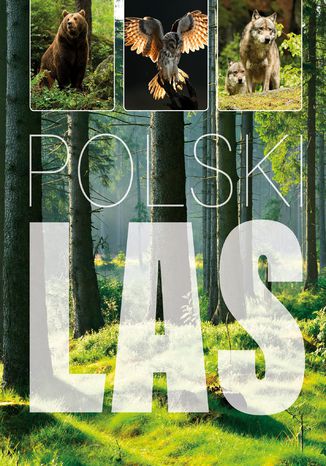 Okładka książki Polski las