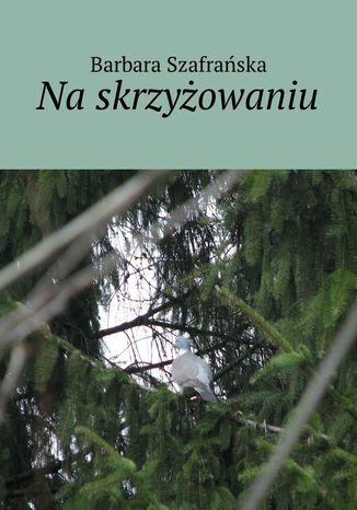 Na skrzyżowaniu