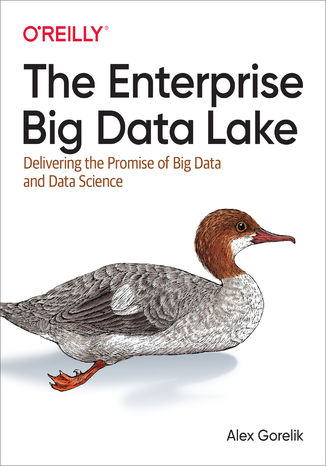 Okładka:The Enterprise Big Data Lake. Delivering the Promise of Big Data and Data Science 