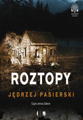 Roztopy Jędrzej Pasierski - okładka audiobooka MP3