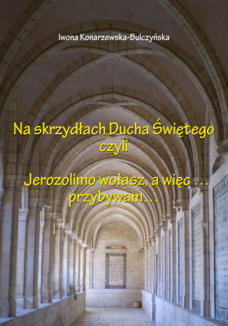 Okładka: Na skrzydłach Ducha Świętego czyli Jerusalem wołasz, więc przybywam