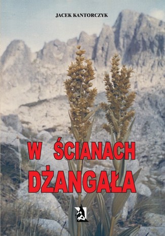 W ścianach Dżangała Jacek Kantorczyk - okładka książki