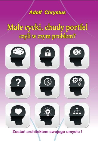 Okładka książki/ebooka Małe cycki, chudy portfel