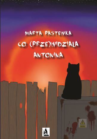 Co (prze)widziała Antonina Marta Pastewka - okładka audiobooka MP3