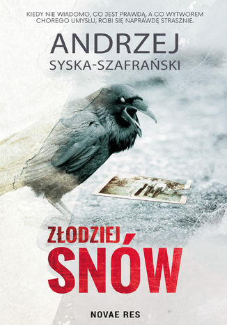 Zodziej snw Andrzej Syska-Szafraski - okadka ebooka