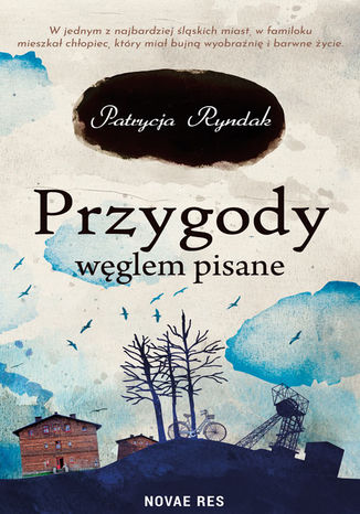 Przygody wglem pisane Patrycja Ryndak - okadka audiobooks CD