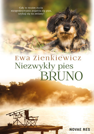 Niezwyky pies Bruno Ewa Zienkiewicz - okadka ebooka