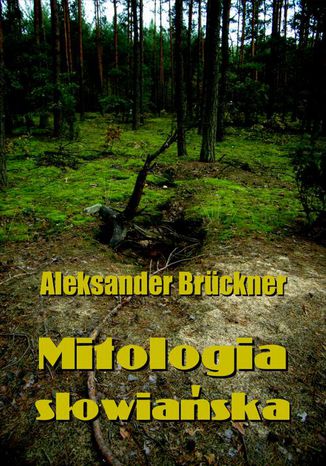 Okładka książki/ebooka Mitologia słowiańska