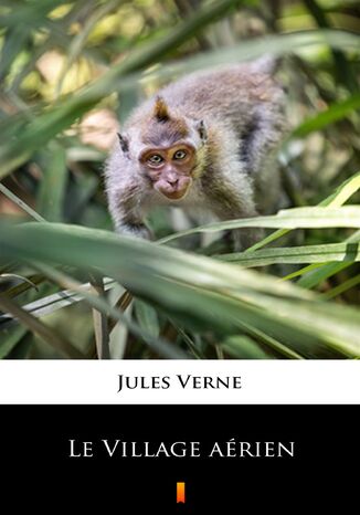 Le Village arien Jules Verne - okadka ebooka