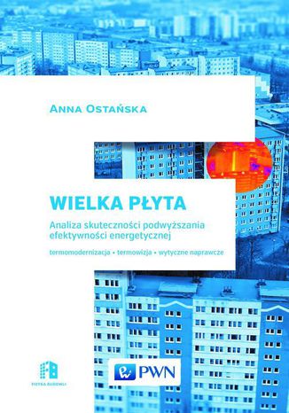 Wielka Pyta. Analiza skutecznoci podwyszania efektywnoci energetycznej Anna Ostaska - okadka audiobooka MP3