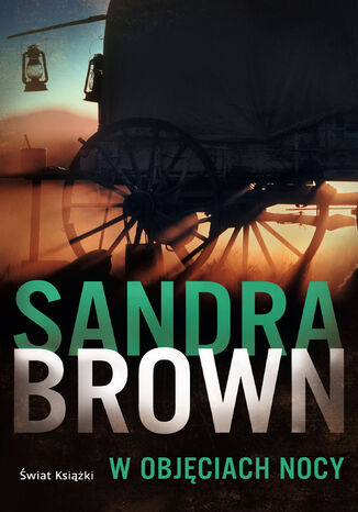 W objciach nocy Sandra Brown - okadka ebooka