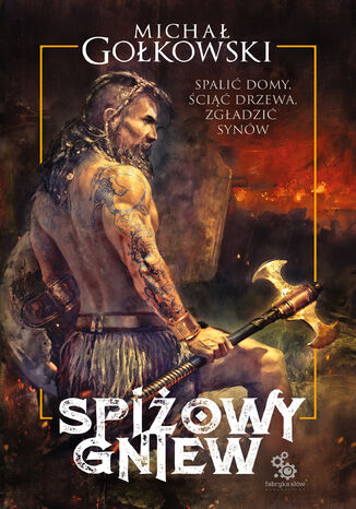 Spiowy gniew Micha Gokowski - okadka audiobooks CD