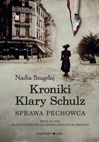 Kroniki Klary Schulz. Sprawa pechowca Nadia Szagdaj - okadka audiobooks CD