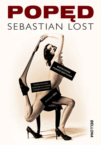 Popd Sebastian Lost - okadka ebooka