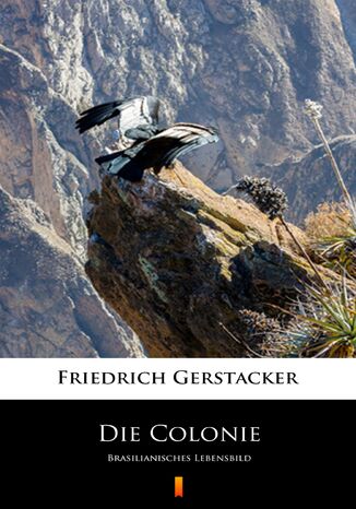 Die Colonie. Brasilianisches Lebensbild Friedrich Gerstcker - okadka audiobooka MP3