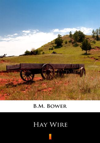 Hay Wire B.M. Bower - okadka ebooka