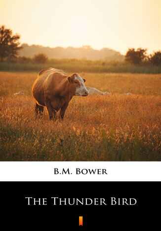 The Thunder Bird B.M. Bower - okadka audiobooka MP3
