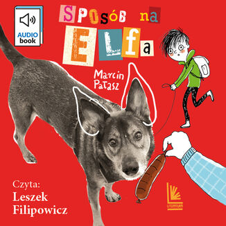 Sposób na Elfa Marcin Pałasz - okładka audiobooka MP3