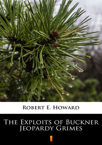 The Exploits of Buckner Jeopardy Grimes Robert E. Howard - okadka audiobooks CD