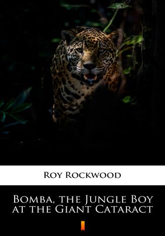 Bomba, the Jungle Boy at the Giant Cataract Roy Rockwood - okadka ebooka
