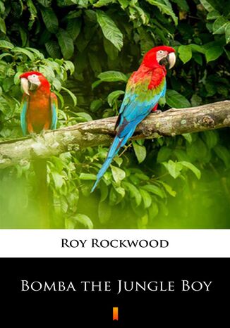 Bomba the Jungle Boy Roy Rockwood - okadka ebooka