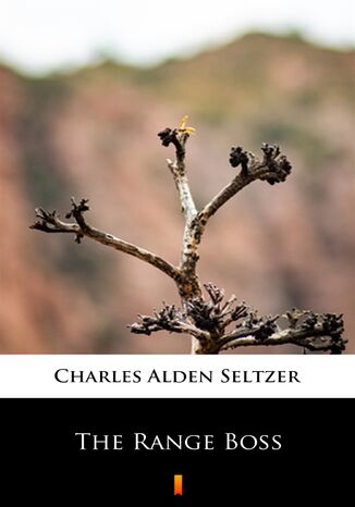 The Range Boss Charles Alden Seltzer - okadka audiobooks CD