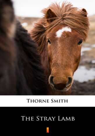 The Stray Lamb Thorne Smith - okadka ebooka