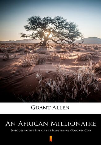 An African Millionaire. Episodes in the Life of the Illustrious Colonel Clay Grant Allen - okadka ebooka
