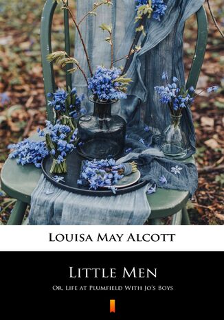 Little Men. Or, Life at Plumfield With Jos Boys Louisa May Alcott - okładka ebooka