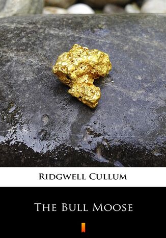 The Bull Moose Ridgwell Cullum - okadka audiobooks CD