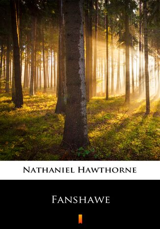Fanshawe Nathaniel Hawthorne - okadka ebooka