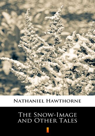 The Snow-Image and Other Tales Nathaniel Hawthorne - okadka audiobooks CD