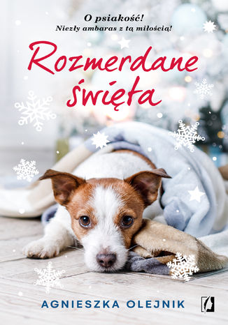 Rozmerdane święta Agnieszka Olejnik - okładka audiobooka MP3