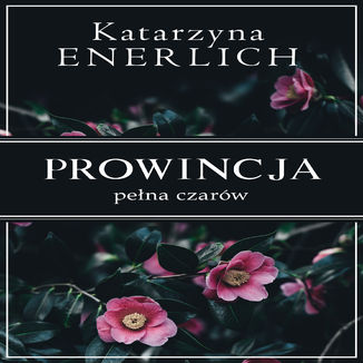 Prowincja pełna czarów Katarzyna Enerlich - okładka audiobooka MP3