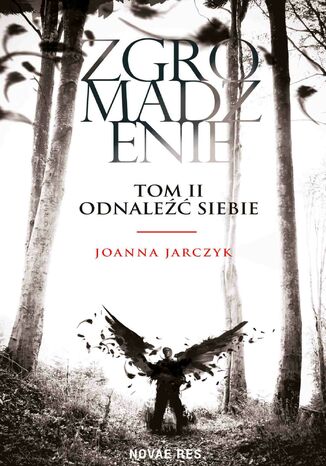 Zgromadzenie. Tom II. Odnaleźć siebie