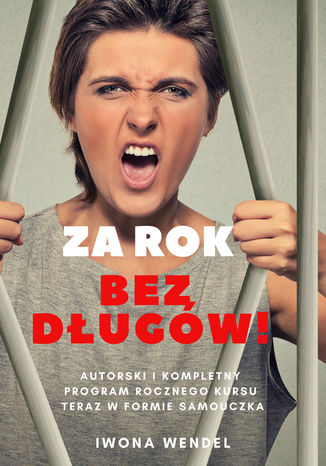 Ebook Za rok bez długów!