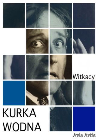 Kurka Wodna Stanisaw Ignacy Witkiewicz - okadka audiobooka MP3