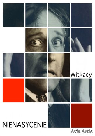 Nienasycenie Stanisaw Ignacy Witkiewicz - okadka audiobooks CD
