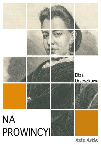 Na prowincyi Eliza Orzeszkowa - okadka ebooka
