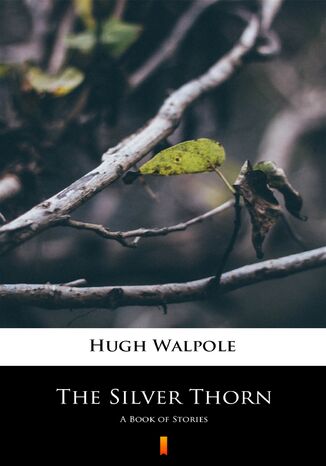 The Silver Thorn. A Book of Stories Hugh Walpole - okadka ebooka